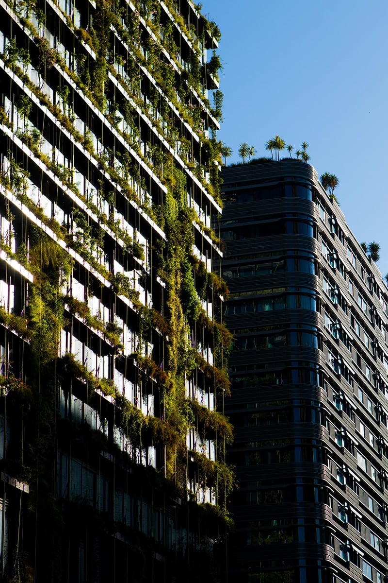 City-friendly plants