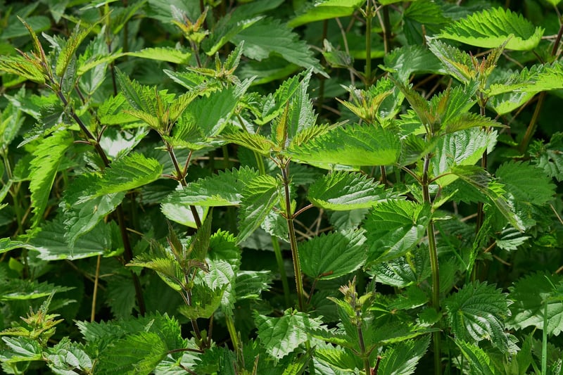 Herb-specific solutions